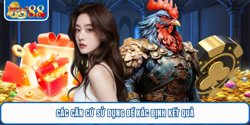 Các căn cứ sử dụng để xác định kết quả
