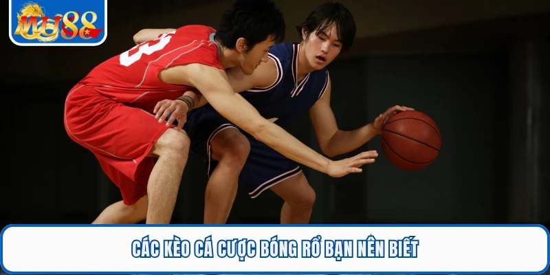 Các kèo cá cược bóng rổ bạn nên biết