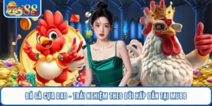 Đá Gà Cựa Dao - Trải Nghiệm Theo Dõi Hấp Dẫn Tại MU88