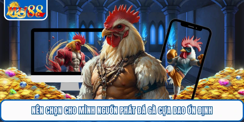 Nên chọn cho mình nguồn phát đá gà cựa dao ổn định