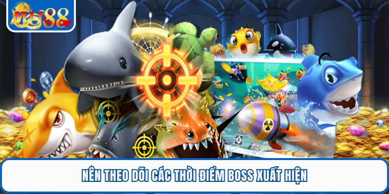 Nên theo dõi các thời điểm boss xuất hiện