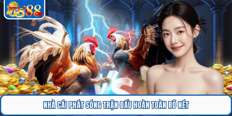 Nhà cái phát sóng trận đấu hoàn toàn rõ nét