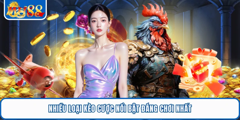 Nhiều loại kèo cược nổi bật đáng chơi nhất