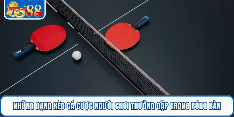 Những dạng kèo cá cược người chơi thường gặp trong bóng bàn