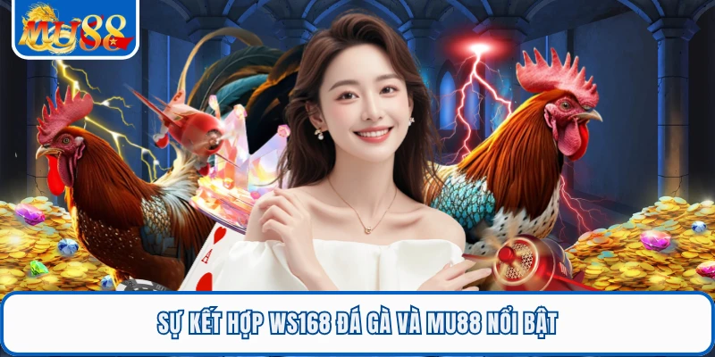 Sự kết hợp WS168 đá gà và MU88 nổi bật