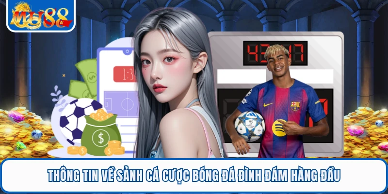 Thông tin về sảnh cá cược bóng đá đình đám hàng đầu