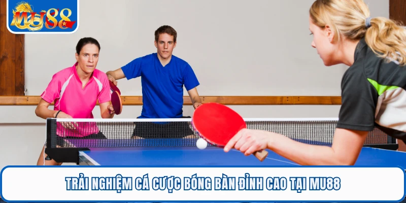 Trải nghiệm cá cược bóng bàn đỉnh cao tại MU88 